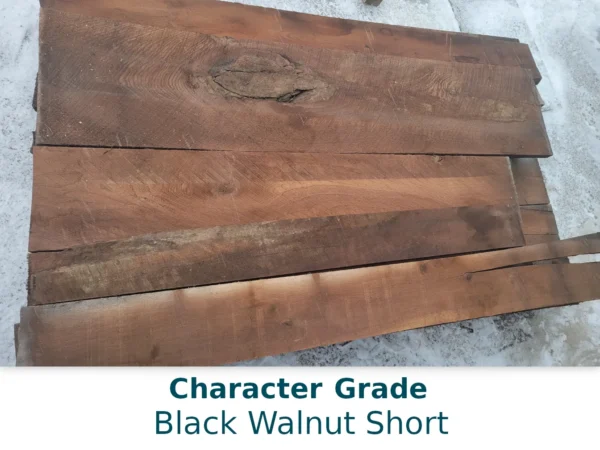 Black Walnut Short - Image 4