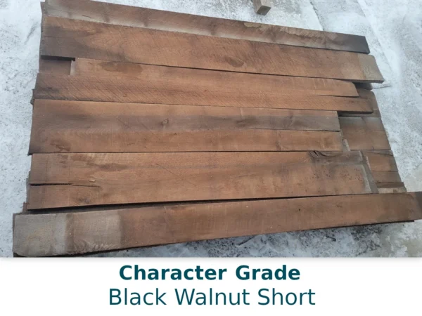 Black Walnut Short - Image 5